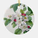 Search for apples ornaments French