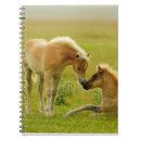 Search for horse pictures notebooks Photography