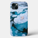 Search for sea bear iphone cases Ice