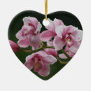 Search for orchid ornaments Beautiful