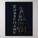 Search for doberman posters Pet