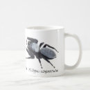 Search for jumping spider mugs Nature