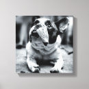 Search for french bulldog nursery decor Small