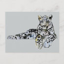 Search for big spots postcards Paws
