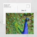 Recherche de poulailler cartes postales Ferme