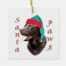Search for santa paws ornaments Dog