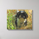 Search for grass canvas prints Field