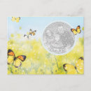 Search for butterfly garden postcards Insect