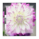 Search for photography dry erase boards pink