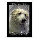 Search for great pyrenees dog postcards Pet