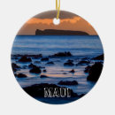 Search for maui ornaments Hawaii