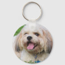 Search for pet cavalier keychains Cute