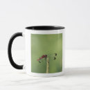 Recherche de préfecture tasses Jour