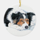Recherche de colley ornements Canin