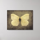 Search for butterfly canvas prints Sepia