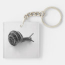 Search for snail keychains Animal
