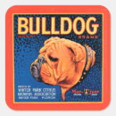 Recherche de taureau autocollants Bulldog