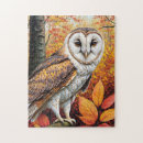 Search for barn owl puzzles Wildlife
