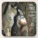 Search for two sided coasters Nature