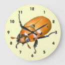 Recherche de vigne horloges Nature