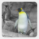 Recherche de oiseaux marins autocollants Pingouin