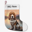 Recherche de petit basset Animaux de compagnie