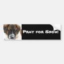 Search for saint bumper stickers Fun