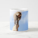 Recherche de de babouin tasses Singe