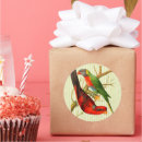 Search for colourful parrot stickers Birds