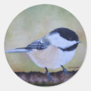 Search for chickadee art stickers Wildlife