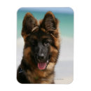 Recherche de deutscher magnets Alsacien