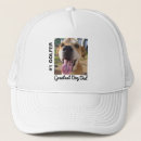 Search for photo hats Dog