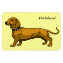 Recherche de teckels magnets Illustration