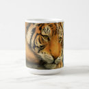 Search for wildcats mugs Nature