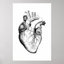 Recherche de battement de coeur art Anatomie