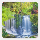 Search for rainforest animal stickers Trees