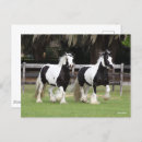 Search for gypsy vanners postcards Black and white