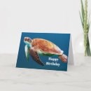 Recherche de turtle birthday cards Tortue