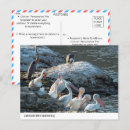 Recherche de bord de lac cartes postales Photographie
