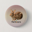 Search for cottontail buttons Bunny