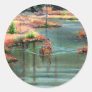 Search for canoes stickers Forest