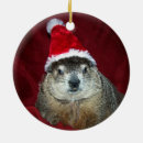 Search for groundhog ornaments Woodchuck