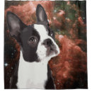 Search for boston terrier shower curtains Funny