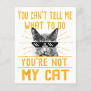Search for cat advice cards Kitty