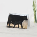 Recherche de veau vœux cartes Photographie
