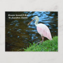 Search for roseate postcards Bird