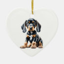 Search for coonhound ornaments Pet