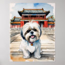 Search for shih tzu art Canine