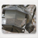 Search for herbivore electronics Nature