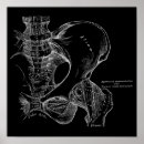 Recherche de articulation posters Anatomie humaine
